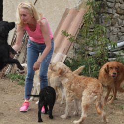 communication animale, Marie-France Pierre avec des chiens
