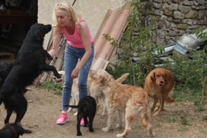 Marie-France Pierre avec des chiens