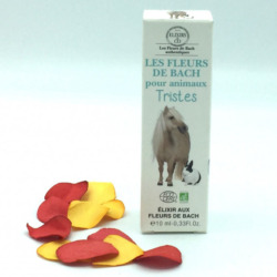 Fleur de Bach pour animaux tristes