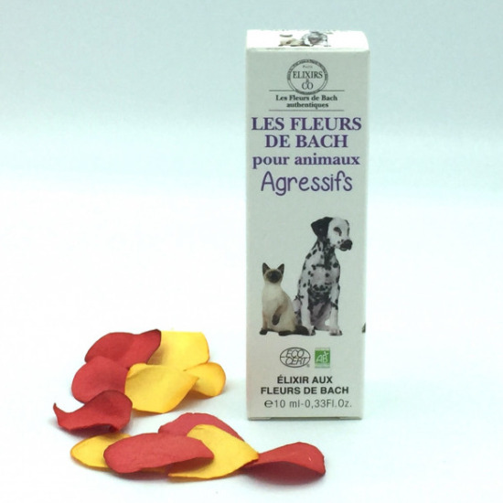 Fleur de Bach pour animaux agressifs