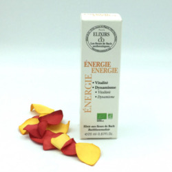 Fleur de Bach énergie