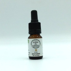 Fleur de Bach 21 mustard