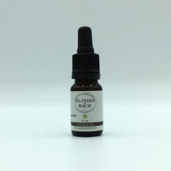 Fleur de Bach 28 scleranthus