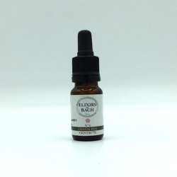 Fleur de Bach 4 centaury