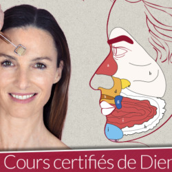 schéma de réflexologie visage