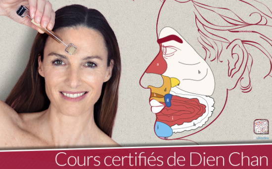 schéma de réflexologie visage
