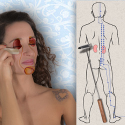 schéma de réflexologie arrière du corps
