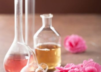 Pour ou contre les huiles essentielles (1ère partie)
